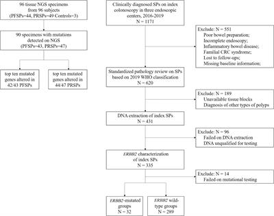 ERBB2 Mutations as Potential Predictors for Recurrence in Colorectal Serrated Polyps by Targeted Next-Generation Sequencing